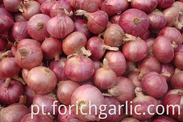 Red Onion